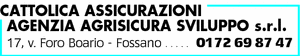 Visualizza Inserzione