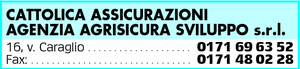 Visualizza Inserzione