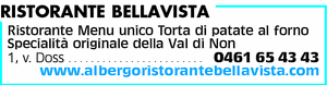 Visualizza Inserzione