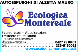 Visualizza Inserzione