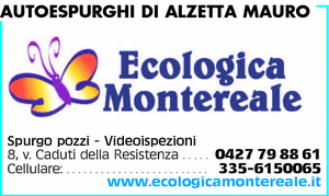 Visualizza Inserzione