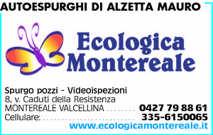 Visualizza Inserzione