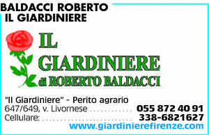 Visualizza Inserzione