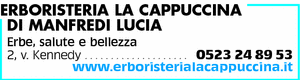 Visualizza Inserzione