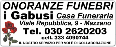 Visualizza Inserzione