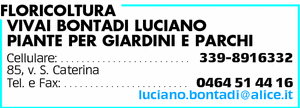 Visualizza Inserzione