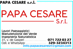 Visualizza Inserzione