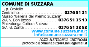 Visualizza Inserzione