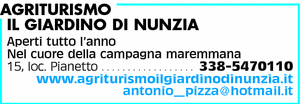 Visualizza Inserzione