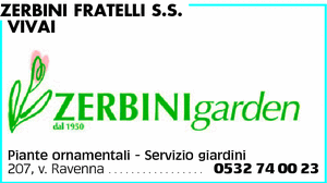 Visualizza Inserzione