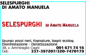Visualizza Inserzione