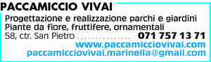 Visualizza Inserzione