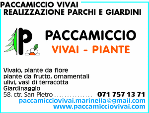 Visualizza Inserzione