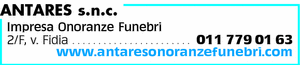 Visualizza Inserzione