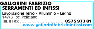 Visualizza Inserzione