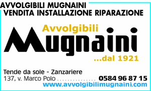 Visualizza Inserzione