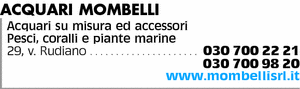 Visualizza Inserzione