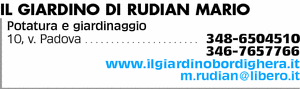 Visualizza Inserzione
