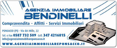 Visualizza Inserzione