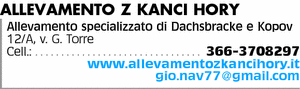 Visualizza Inserzione