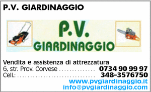 Visualizza Inserzione