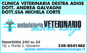 Visualizza Inserzione