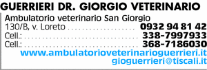 Visualizza Inserzione