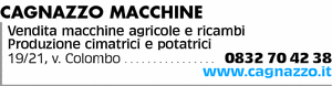 Visualizza Inserzione