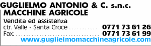Visualizza Inserzione