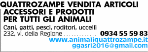 Visualizza Inserzione