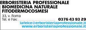 Visualizza Inserzione