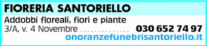 Visualizza Inserzione