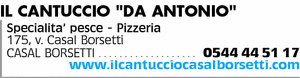 Visualizza Inserzione