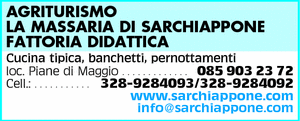 Visualizza Inserzione