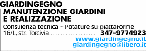 Visualizza Inserzione