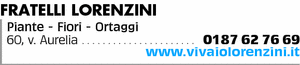 Visualizza Inserzione