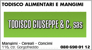 Visualizza Inserzione