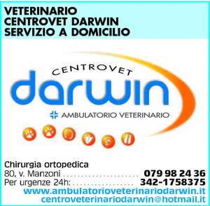 Visualizza Inserzione
