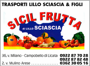 Visualizza Inserzione