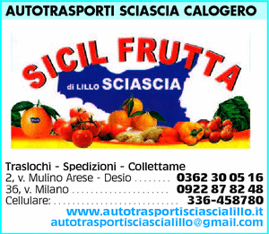 Visualizza Inserzione