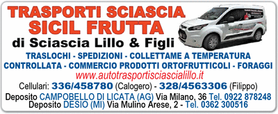 Visualizza Inserzione