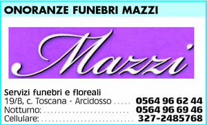 Visualizza Inserzione
