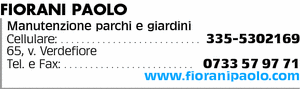 Visualizza Inserzione