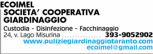 Visualizza Inserzione