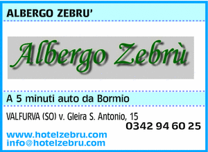 Visualizza Inserzione