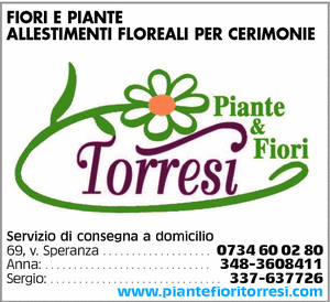 Visualizza Inserzione