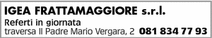 Visualizza Inserzione