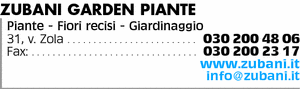 Visualizza Inserzione