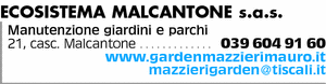 Visualizza Inserzione