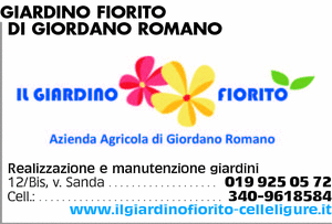 Visualizza Inserzione